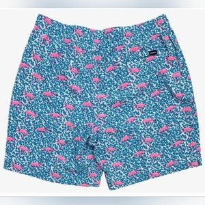 Chubbies the Domingos are for Flamingos swim trunks.